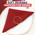 Red Polyester Napkins Related Image 6a
